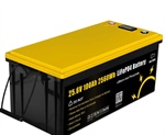 Gokwh 24V 100Ah 2560Kwh Batteria LiFePO4 al ferro fosfato di litio con bms interno che bilancia automaticamente le celle e monitor di stato