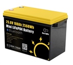 Gokwh 24V 100Ah Batteria per  Accumulo Energetico LCD 2560Wh Batteria al Litio Ion LiFePO4