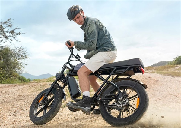 ENGWE M1 E - bike per due passeggeri coppia di 65 Nm batteria agli ioni di litio da 48 V 15,6 Ah *1